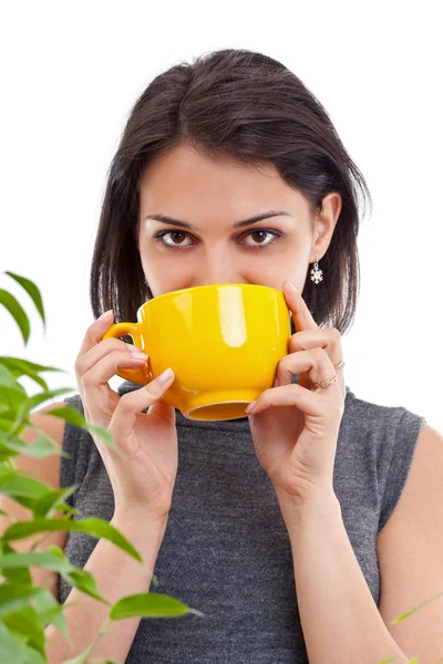 Mulher bebendo chá quente — Fotografia de Stock