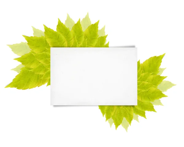 Blank paper and leaves — Stock Photo, Image