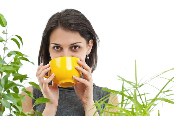 Donna che beve tè — Foto Stock