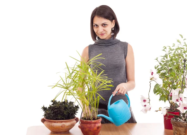Woman watering a plant — Stock Photo, Image