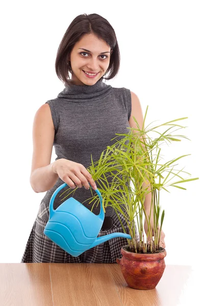 女人浇灌植物 — 图库照片
