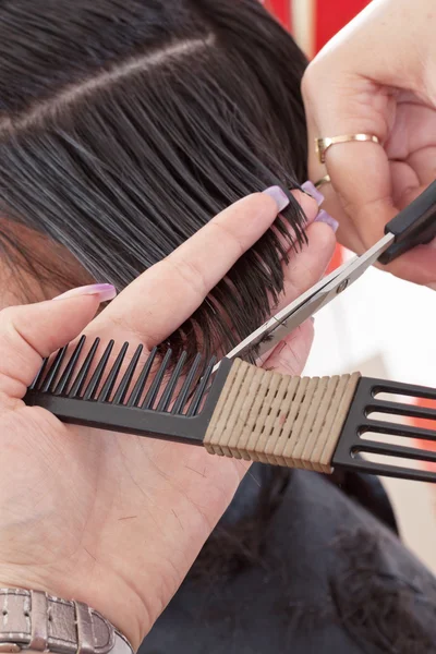 Hairdresser cut hair — Stock Photo, Image