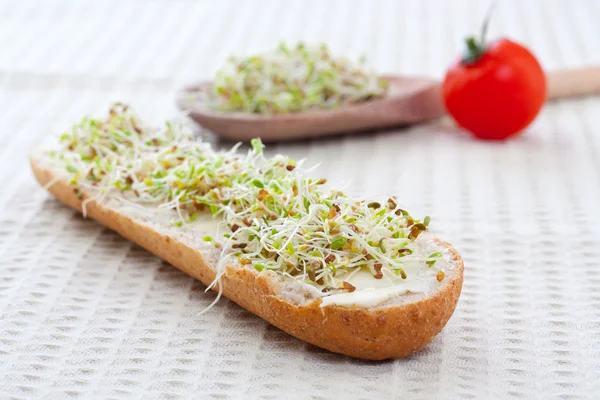 Sprout germ breakfast — Stock Photo, Image
