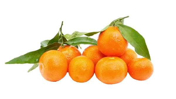 Świeżych owoców mandarynki — Zdjęcie stockowe