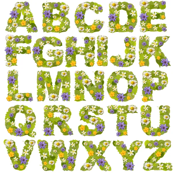 Πράσινο φύλλο Γουίτ λουλούδι γραμματοσειρές — Φωτογραφία Αρχείου