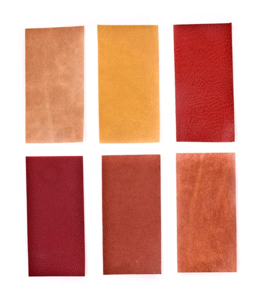 Collection of leatherette — Stock Photo, Image