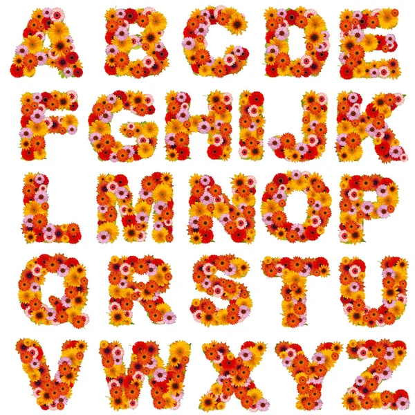 Flower alphabet Stock Photos, Royalty Free Flower alphabet Images