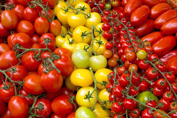 Diversi tipi di pomodori — Foto Stock