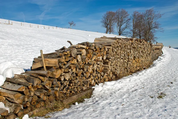 Brennholzstapel im Winter — Stockfoto