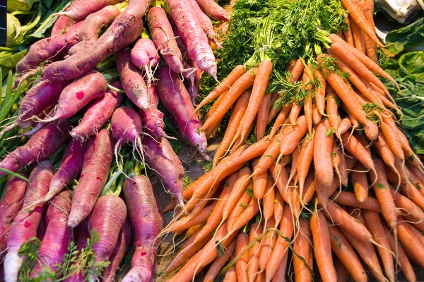 Ridiche și morcovi — Fotografie, imagine de stoc