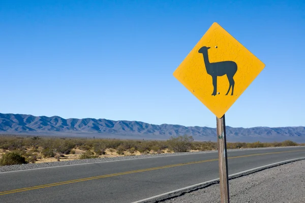 Lama znamení v Andách — Stock fotografie