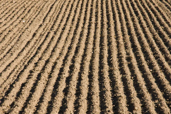 stock image Ploughed field