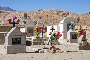 Cementary in northern Argentina clipart