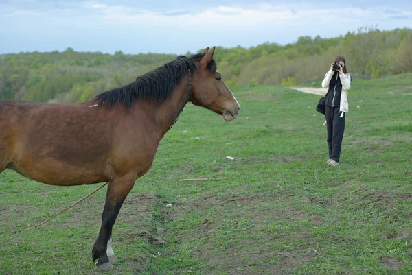 Feminino fazendo um tiro de um cavalo — Fotografia de Stock