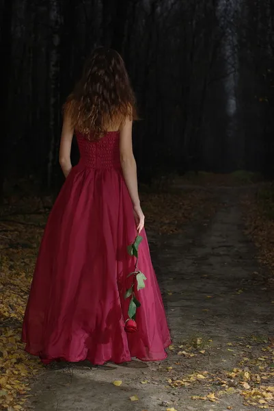 在秋天的夜晚的森林中的女孩 — 图库照片