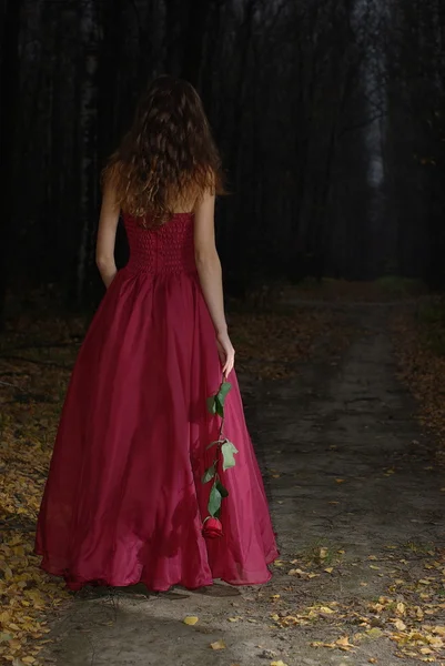 Dívka v noci podzimní Les Royalty Free Stock Fotografie