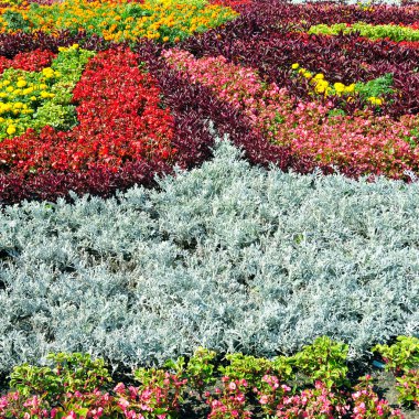 güzel flowerbed