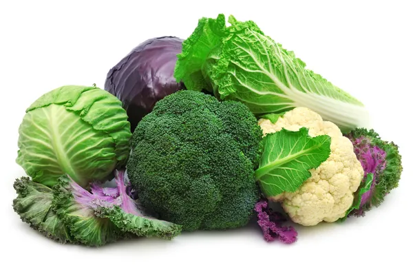 Collection cabbage — Stock Photo, Image