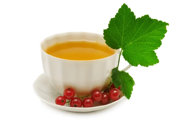 Currant tea — Stock Photo, Image