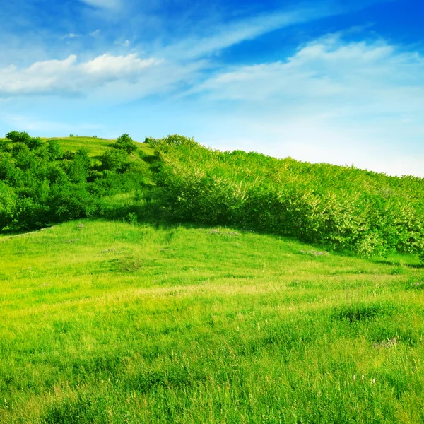 Bergachtig terrein en de blauwe hemel — Stockfoto