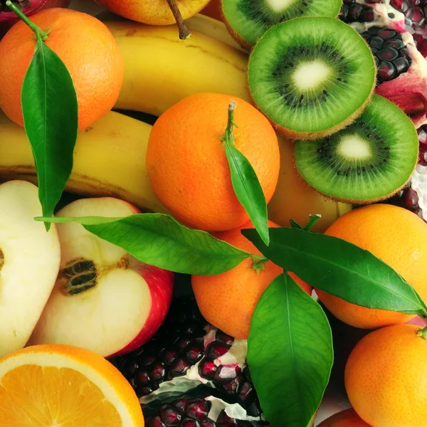 Sběr ovoce — Stock fotografie