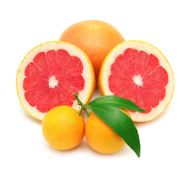 Мандарин и грейпфрут — стоковое фото