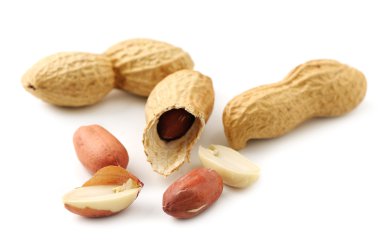 Groundnut clipart