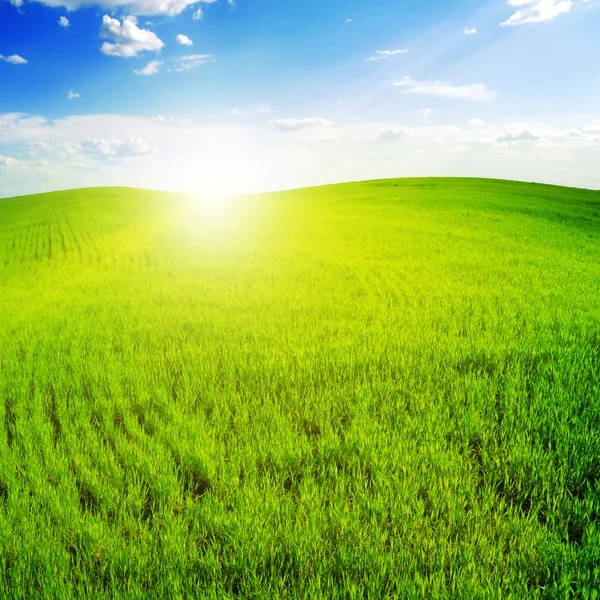 Green landscape sun Stock Photos, Royalty Free Green landscape sun ...