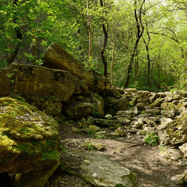 stock image Cairn in forest