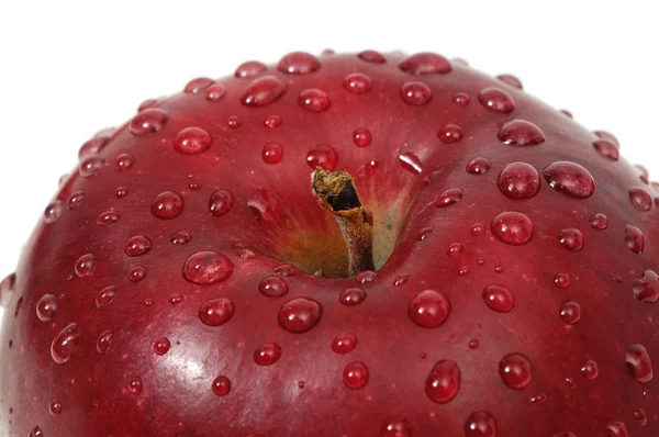 Manzana con gotas de agua —  Fotos de Stock