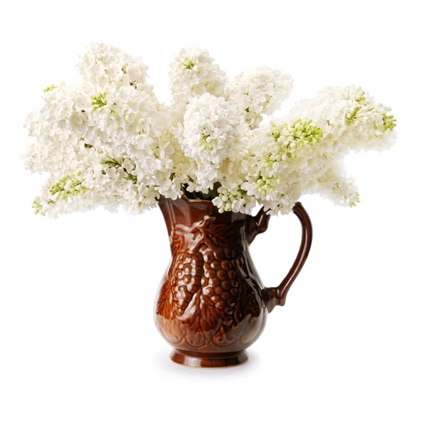 Bouquet di lilla bianca — Foto Stock