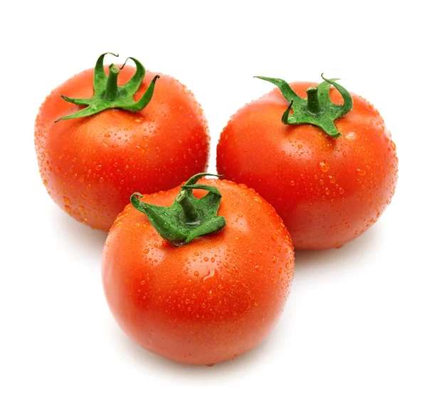 Yağmur damlaları ile kaplı domates — Stok fotoğraf