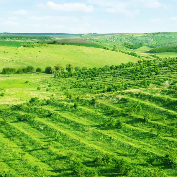 stock image Picturesque hilly terrain