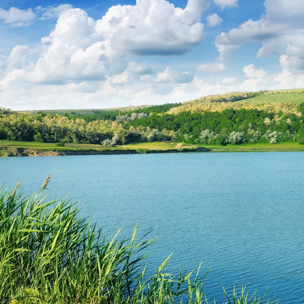 Lake and green fields — Stock Photo, Image