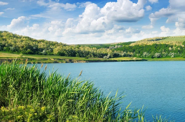 Озеро і зелені поля — стокове фото