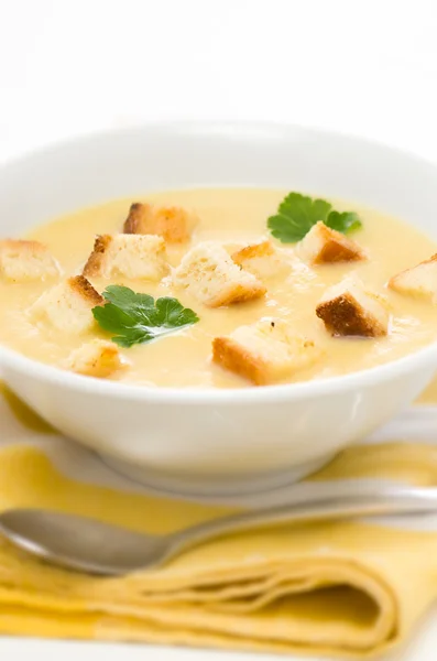 stock image Leek, potato and celery soup