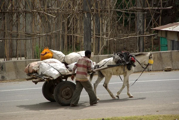 stock image Cart in Ethiopia