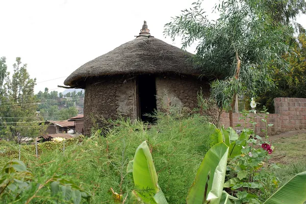 Хатина в Ефіопії — стокове фото