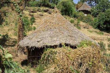 Afrika Köyü, Etiyopya