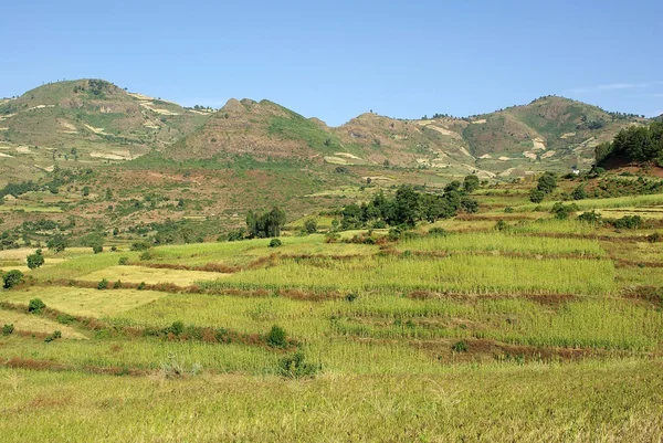 Krajina v Etiopii — Stock fotografie