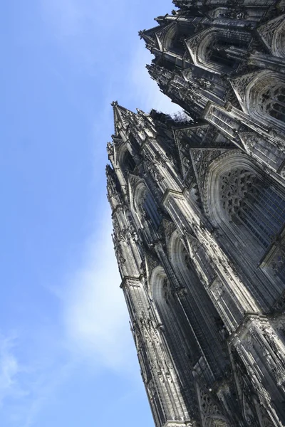 Kolner dom colonia cattedrale Germania — Foto Stock