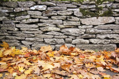 Dry stone wall autumn leaves clipart