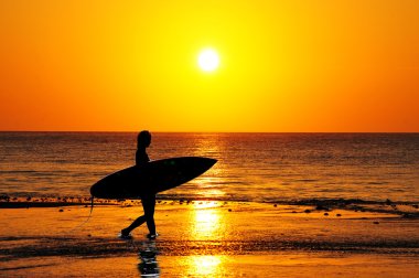 Sunrise Surfer clipart