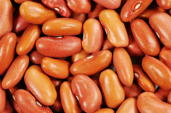 Kidney Beans — Stock Photo, Image