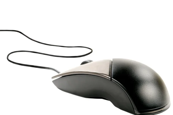 Electronic Mouse — Stock Photo, Image