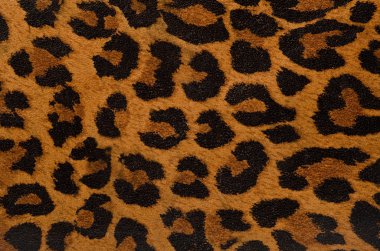 Leopard print pattern clipart