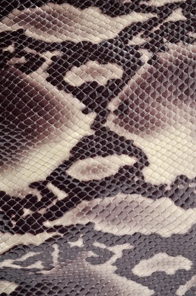Pele de cobra — Fotografia de Stock