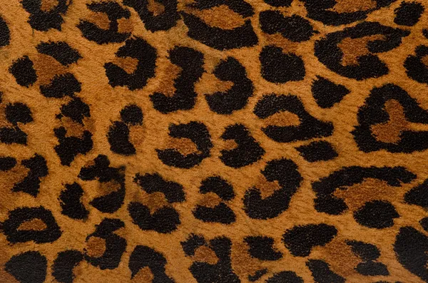 Leopard print patroon Stockfoto