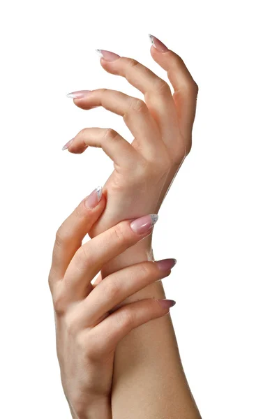 Vrouwelijke handen Stockfoto