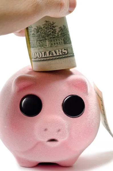 Piggy bank en dollars — Stockfoto